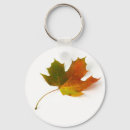 Search for changing seasons key rings Change