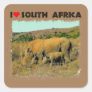 Search for rhino stickers African wildlife