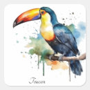 Search for cute toucan stickers Rainforest