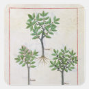 Search for herbal medicine stickers Illuminated