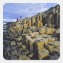 Search for county stickers Coast