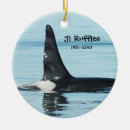 Search for killer whale christmas tree decorations Dolphin