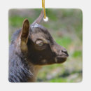 Search for goats christmas tree decorations Kid