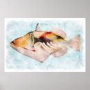 Search for triggerfish posters Ocean