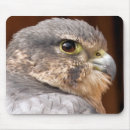 Search for prey mouse mats Wild birds