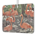 Search for flamingo car air fresheners Birds
