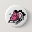 Search for anatomical round badges Anatomy