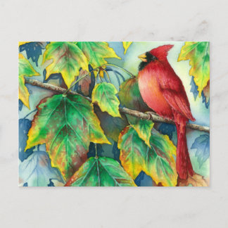 0004 CardinalPostcard Postcard