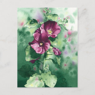 0007 Dorothy's Hollyhocks Postcard