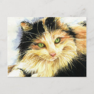 0010 Calico Cat Postcard