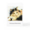 0010 Calico Cat Sympathy