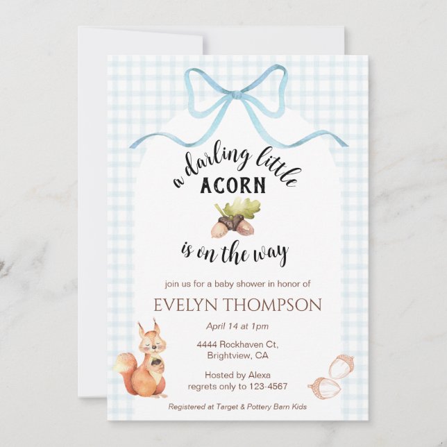 001 Sky Squirrel Acorn Gingham Bow Baby Shower Invitation (Front)