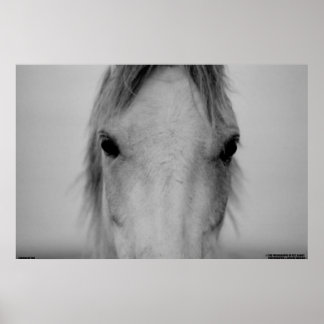 003 POSTER