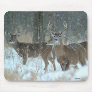 011110-57-AMP MOUSE MAT