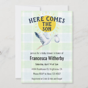 017 Moss 001 Sky Plaid Stork Boho Baby Shower Invitation