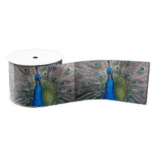 020 Peacock Ribbon Grosgrain Ribbon