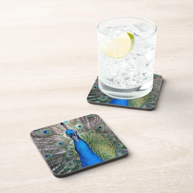 024 - Peacock Set - Coasters (Right Side)