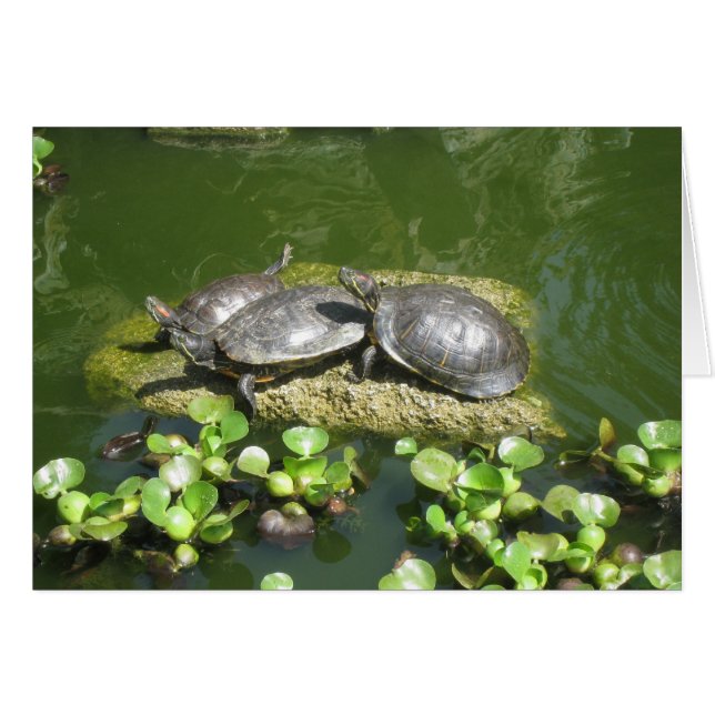 03-21-10 246 (Front Horizontal)