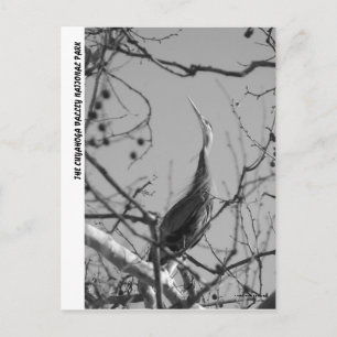040510-9-APC POSTCARD