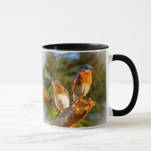 040 Bluebird Courtship 11 oz Classic Mug