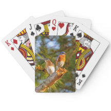 040 Bluebird Courtship Playing Cards
