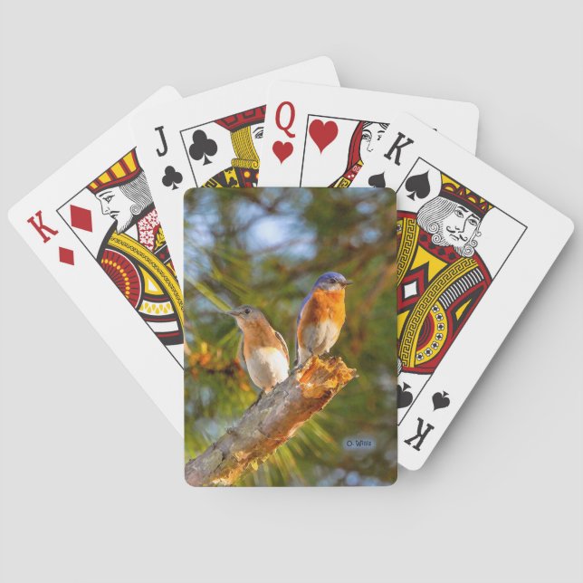 040 Bluebird Courtship Playing Cards (Back)