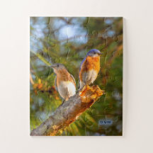 040 Bluebird Courtship Puzzle 11x14 Kids