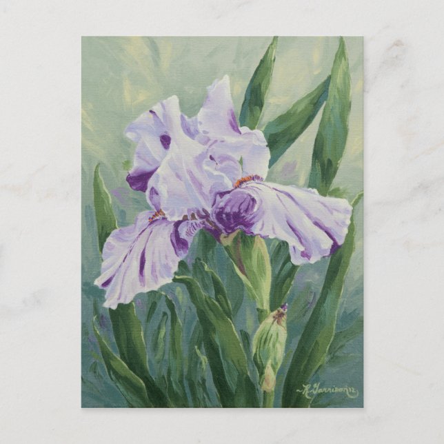 0440 Purple Streaked Iris Postcard (Front)