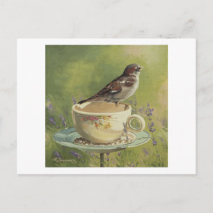 0470 Sparrow Postcard