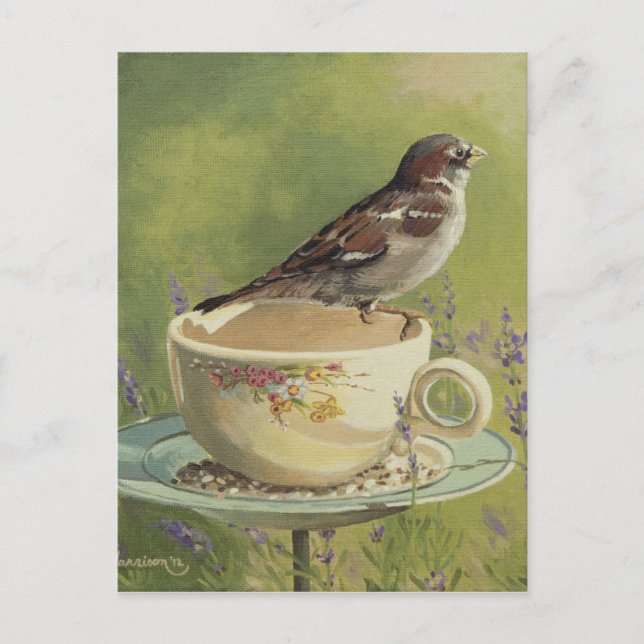 0470 Sparrow Postcard (Front)