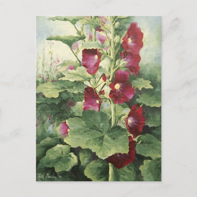 0536 Burgundy Hollyhocks Postcard (Front)