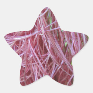056.JPG STAR STICKER