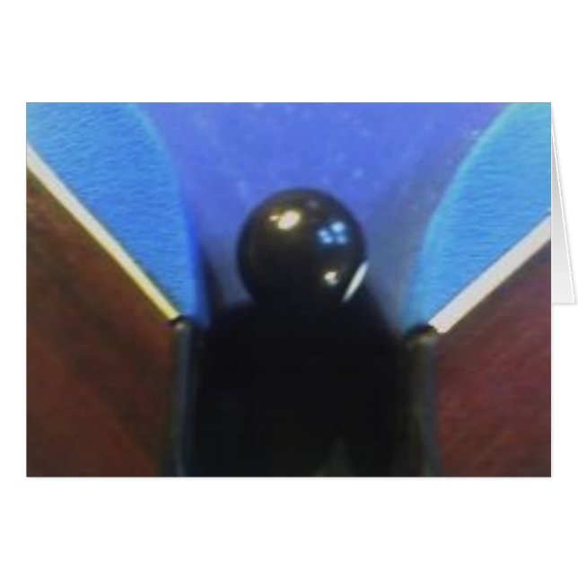 05-11-05_1538 (Front Horizontal)