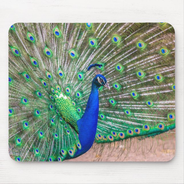 0601-Peacock Mouse Mat (Front)