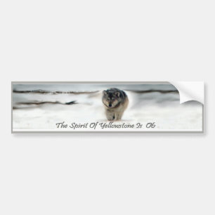 06 The Legend Of Lamar Valley Bumper Sticker