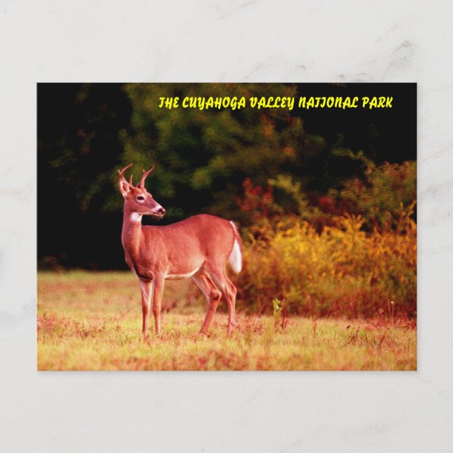 070406-58-APC POSTCARD (Front)