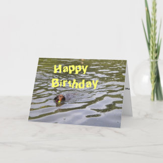 071, Happy Birthday Card