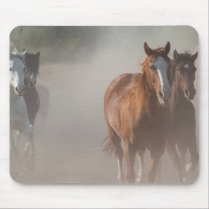 0800-Wild Mustangs Running Mouse Mat