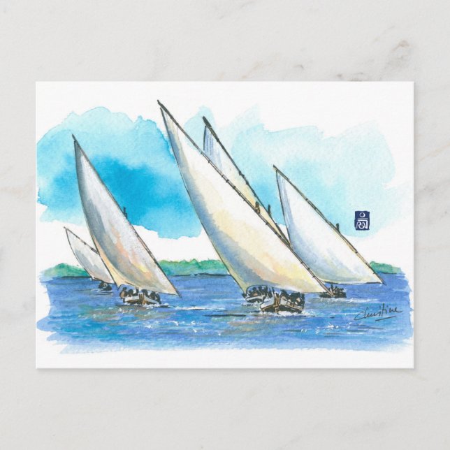 (081) Dhow Sailboat Races Postcard (Front)