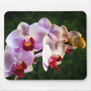0834-Pink Orchids Mouse Mat