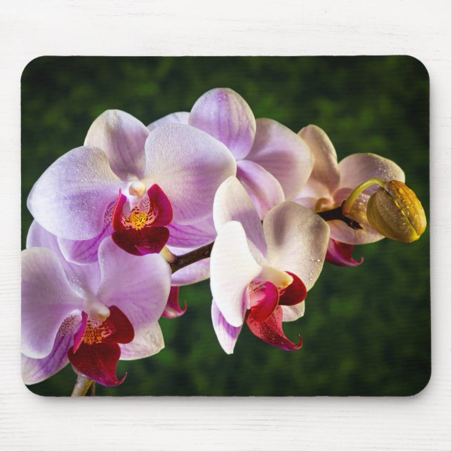 0834-Pink Orchids Mouse Mat (Front)