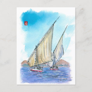 (083) Felucca Sailboats Postcard
