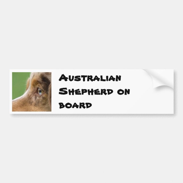 08-04-12-114, Australian Shepherd on board Bumper Sticker (Front)