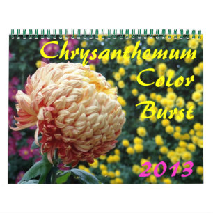 0 2013 Chrysanthemum Colour Burst Calendar