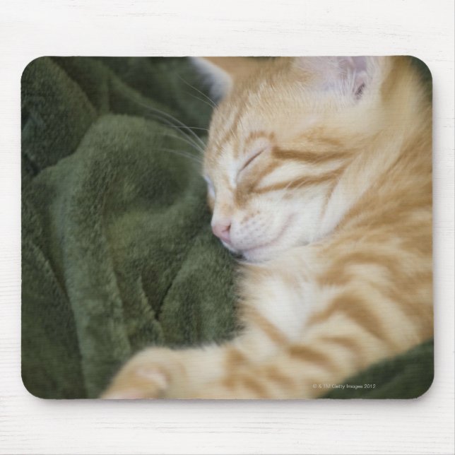 0 2 MOUSE MAT (Front)