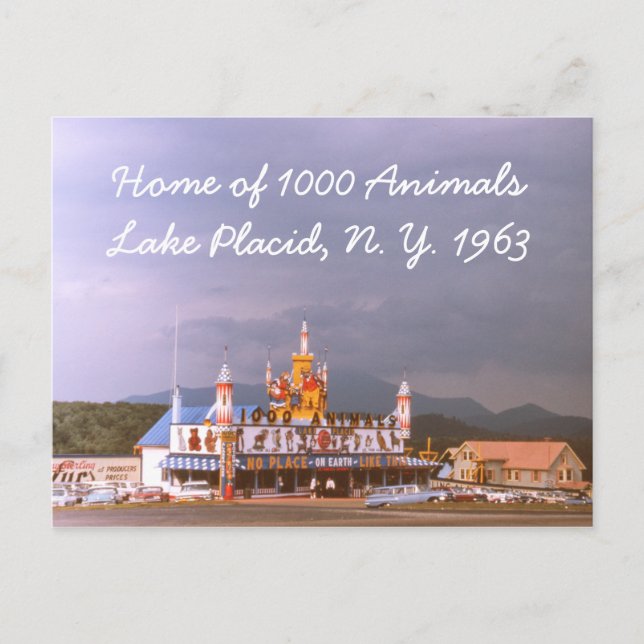 1000 Animals Lake Placid Postcard (Front)