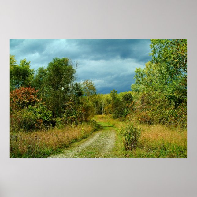 100309-295-AWA POSTER (Front)