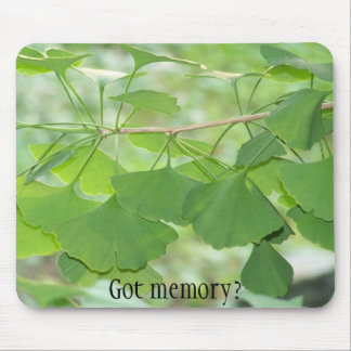 100_0337, Got memory? Mouse Mat