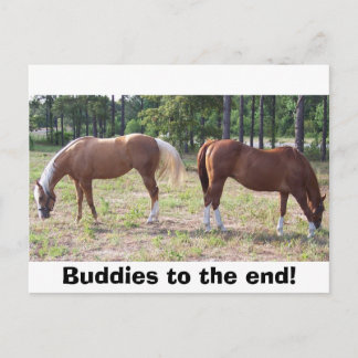 100_0350, Buddies to the end! Postcard