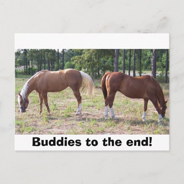 100_0350, Buddies to the end! Postcard (Front)